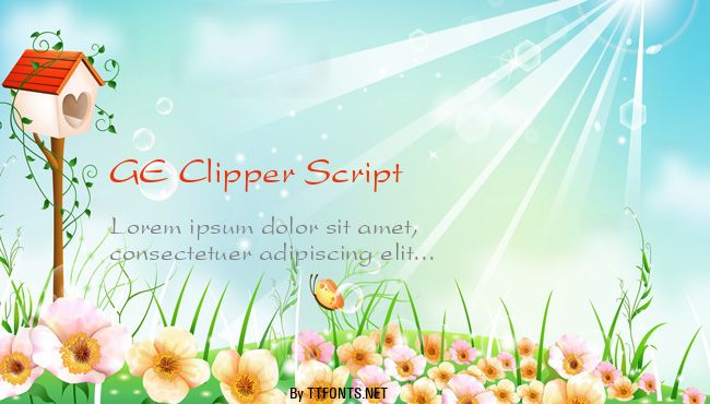 GE Clipper Script example